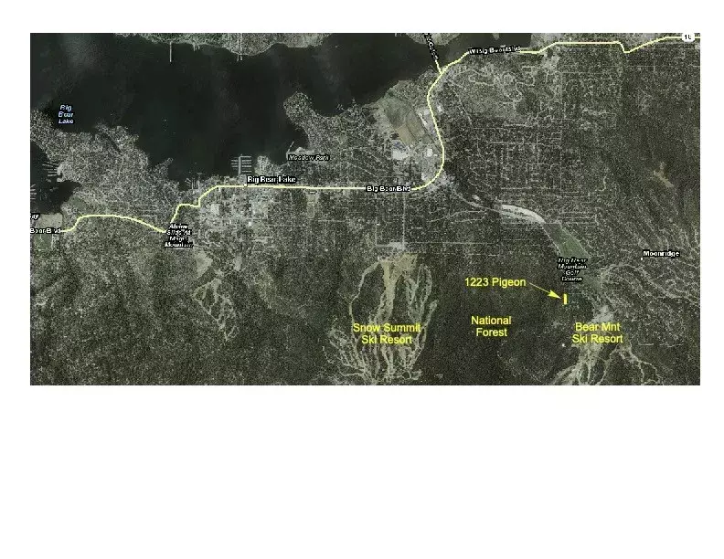 Big Bear Lake, CA 92315,1223 Pigeon