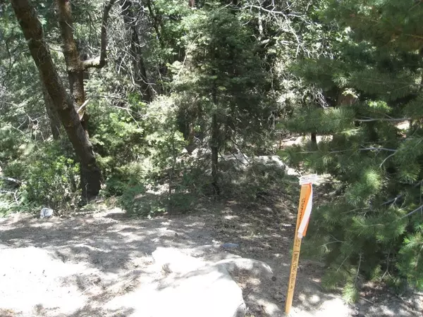 Twin Peaks, CA 92391,0 Forest
