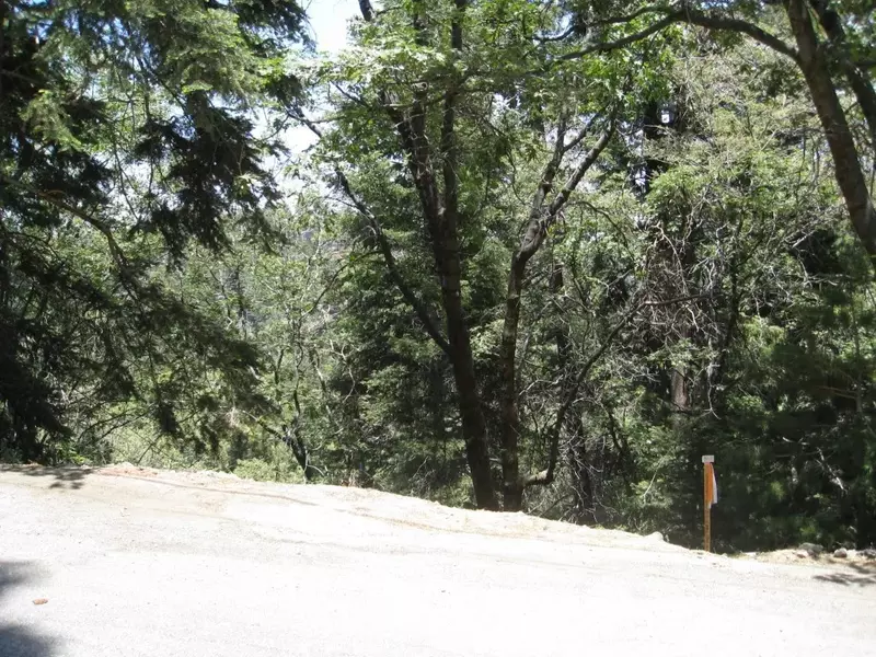 0 Forest, Twin Peaks, CA 92391