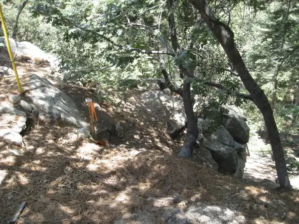 Twin Peaks, CA 92391,0 Forest