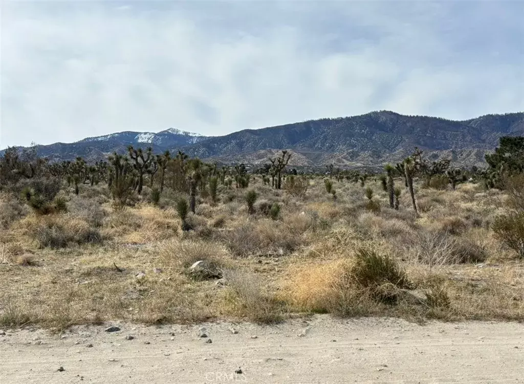Pinon Hills, CA 92372,0 Mono