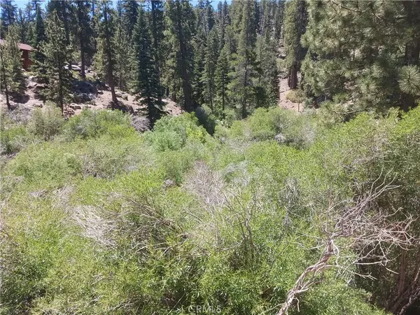 Big Bear Lake, CA 92315,0 Big Bear