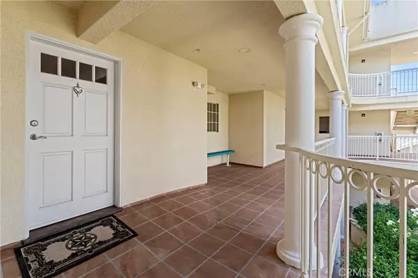 Glendale, CA 91202,530 W Stocker Street #203