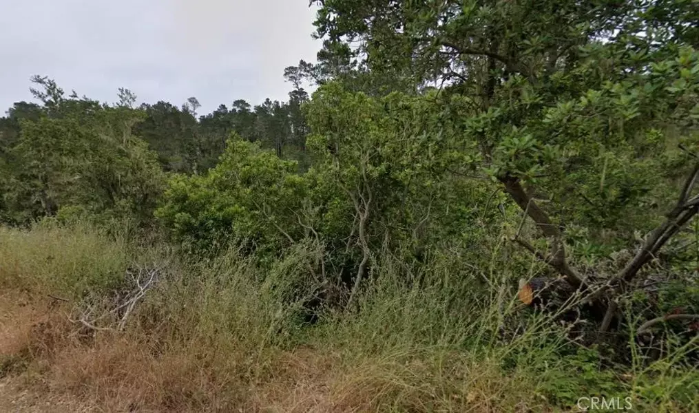 2977 Ramsey, Cambria, CA 93428