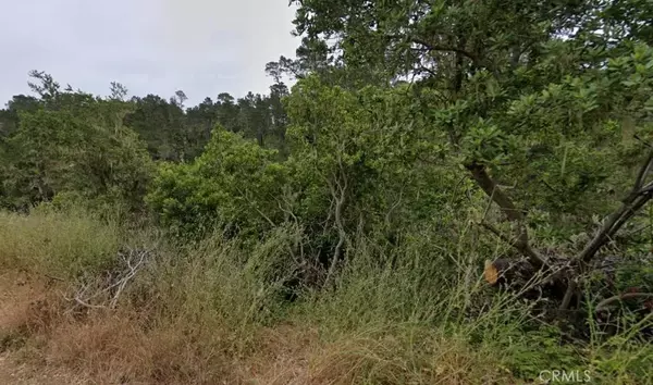 2977 Ramsey, Cambria, CA 93428