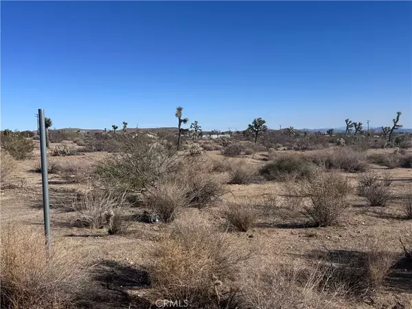 59426 Mesa, Yucca Valley, CA 92284