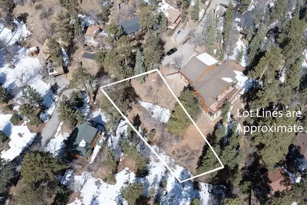 Big Bear Lake, CA 92315,0 Pigeon