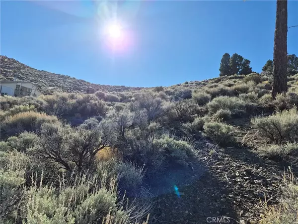 Big Bear City, CA 92314,0 Rustic Canyon