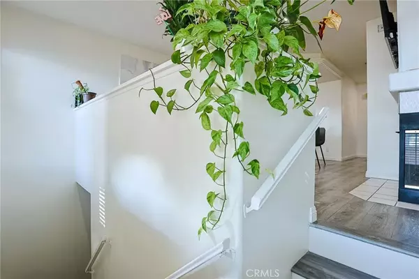 Placentia, CA 92870,339 S Van Buren Street #D