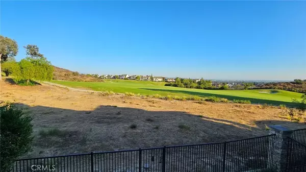 Yorba Linda, CA 92886,17284 Coriander Court