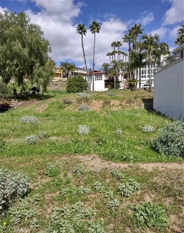 22672 Pin Tail, Canyon Lake, CA 92587