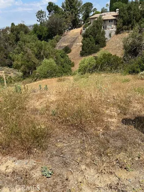 Anaheim Hills, CA 92808,309 Penny