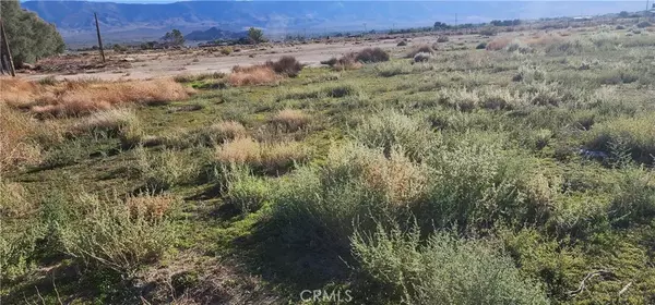 Lucerne Valley, CA 92356,0 Rabbit Springs