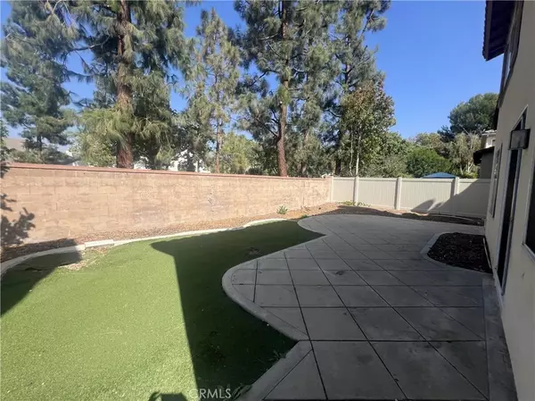 Irvine, CA 92620,43 Straw Flower