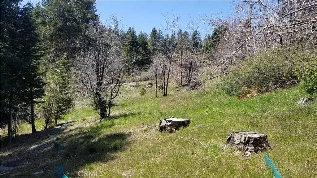 31889 Encina, Running Springs, CA 92382