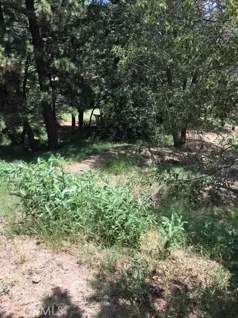 Lake Arrowhead, CA 92352,0 State Hwy 18