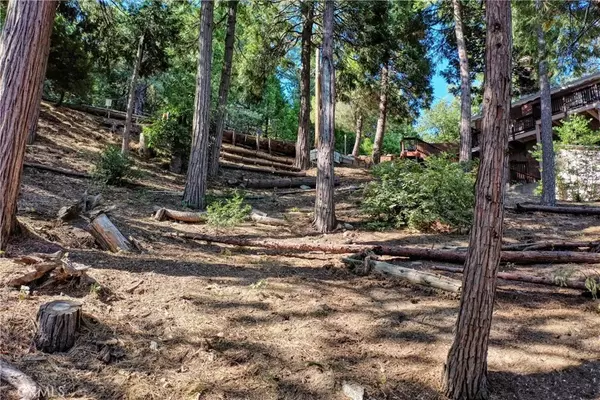 Crestline, CA 92325,0 San Moritz