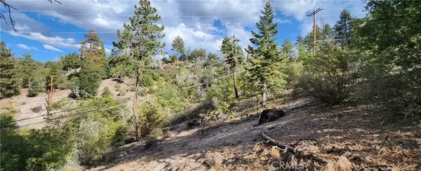Green Valley Lake, CA 92341,0 TRAILS END