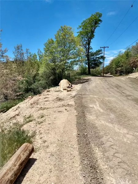 29683 Linden, Cedar Glen, CA 92321