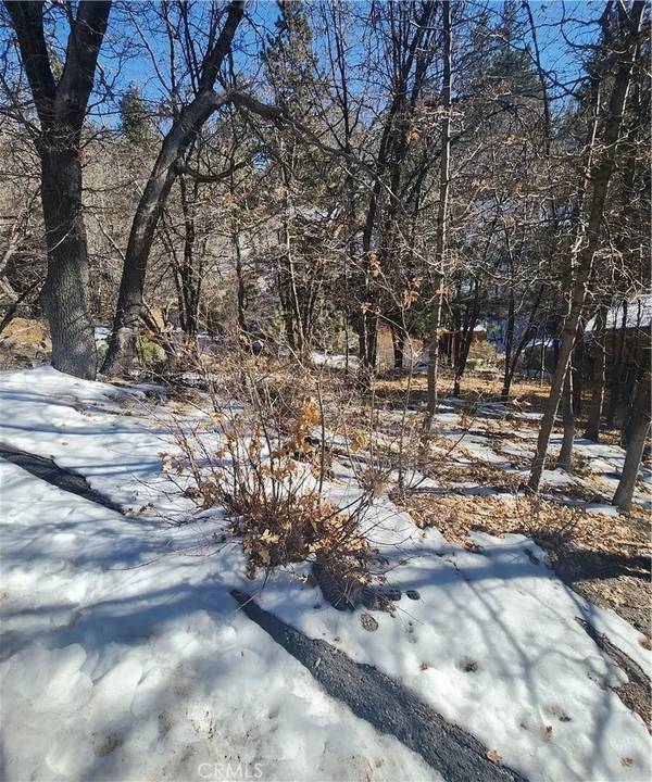 Arrowbear, CA 92314,0 Scola