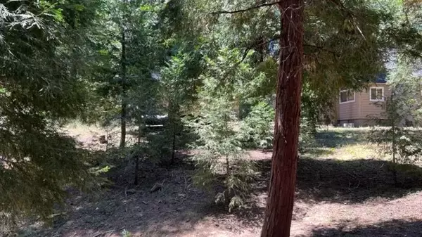 0 Mozumdar, Cedarpines Park, CA 92322