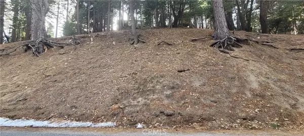 Running Springs, CA 92382,0 Spring Oak