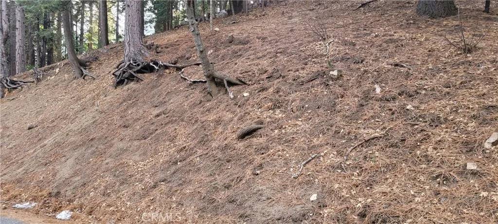0 Spring Oak, Running Springs, CA 92382