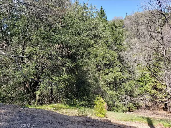 0 Edelweiss, Crestline, CA 92325