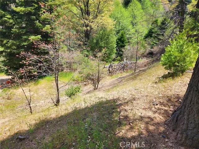 183 Alder, Cedar Glen, CA 92321