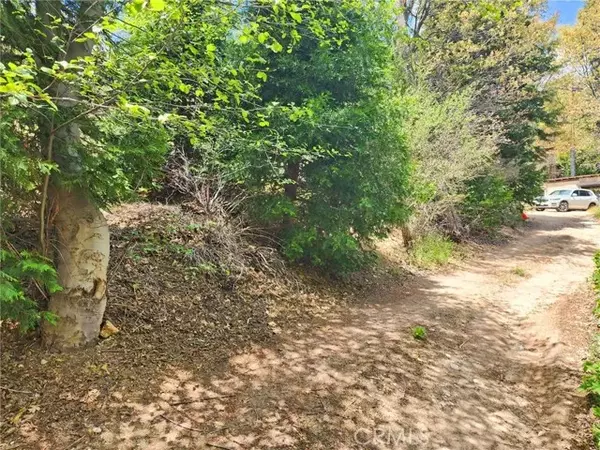 Cedar Glen, CA 92321,183 Alder