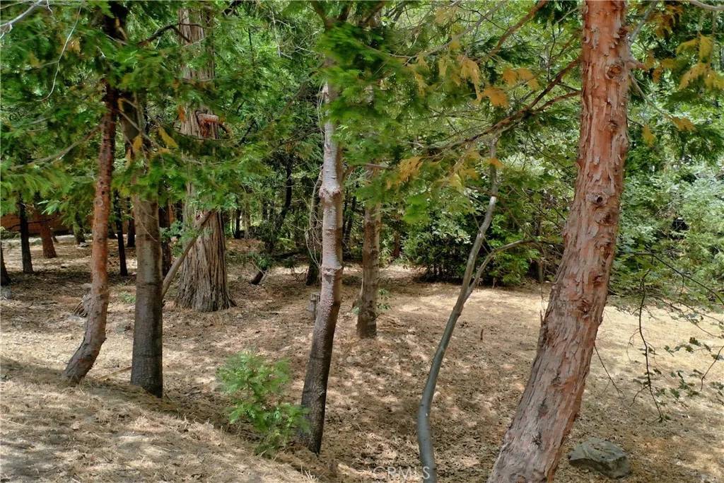 27513 Meadow Bay, Lake Arrowhead, CA 92352