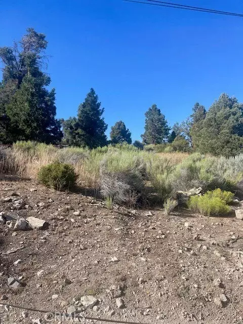 Big Bear City, CA 92314,0 Pelican