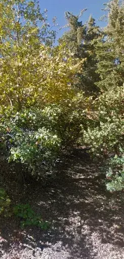 Lake Arrowhead, CA 92352,0 Maplewood Dr