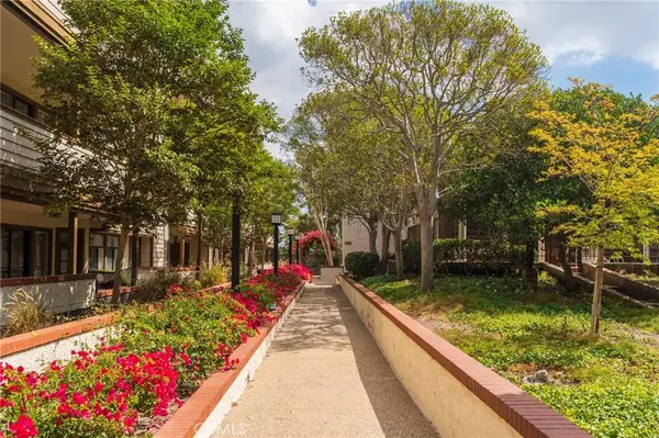 Torrance, CA 90503,2559 Plaza Del Amo #207