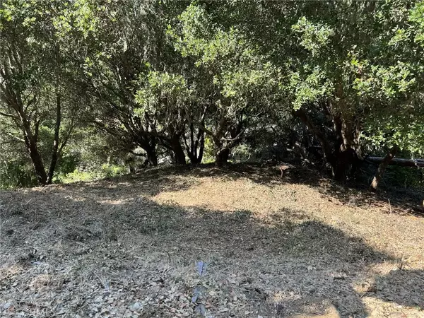 Cambria, CA 93428,0 Hillcrest