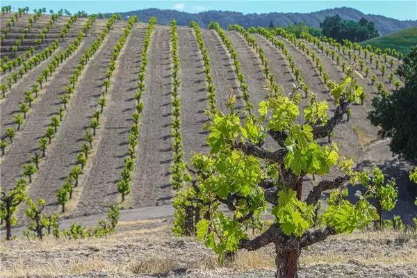 1450 Willow Creek Road, Paso Robles, CA 93446