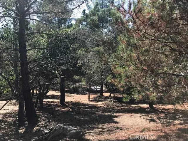 Cambria, CA 93428,0 Tully
