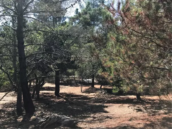 0 Tully, Cambria, CA 93428