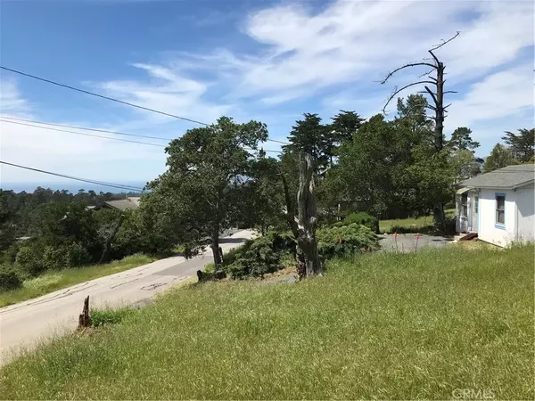 Cambria, CA 93428,0 Richard
