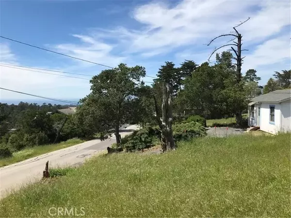 Cambria, CA 93428,0 Richard