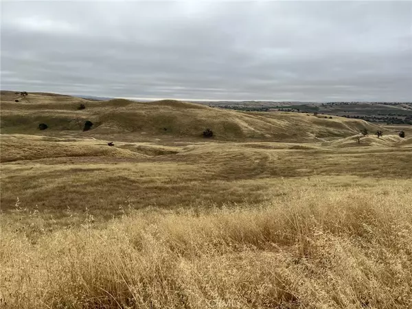 3610 Shimmin Canyon, Shandon, CA 93461