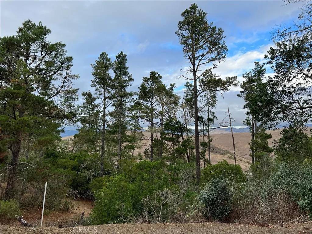 Cambria, CA 93428,1925 Arliss