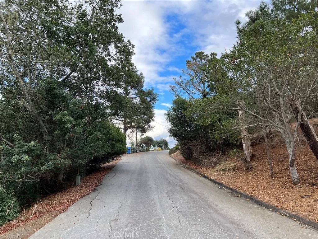 Cambria, CA 93428,1925 Arliss