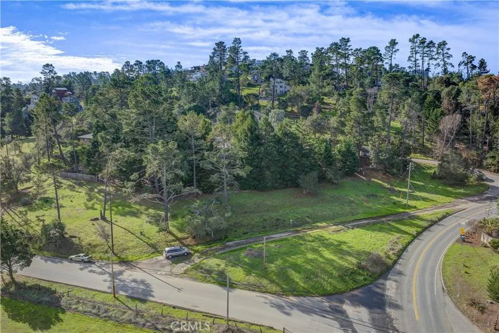 Cambria, CA 93428,1981 Green
