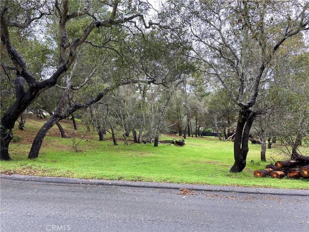 Cambria, CA 93428,0 Kenneth
