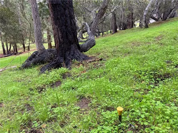 Cambria, CA 93428,0 Kenneth