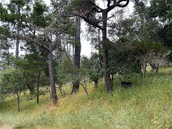 Cambria, CA 93428,0 Norton