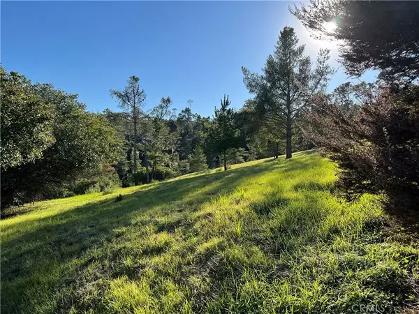 Cambria, CA 93428,0 London Lane