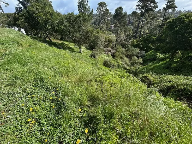 0 Plymouth, Cambria, CA 93428