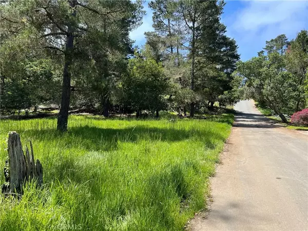 Cambria, CA 93428,0 Kenneth